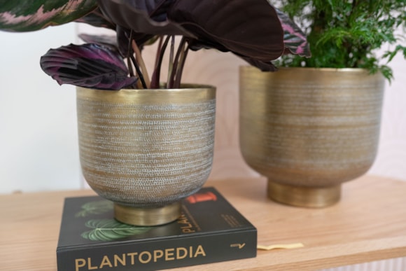 1_Jara-antique-brass_02