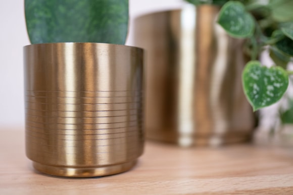 1_Marley-goud_01