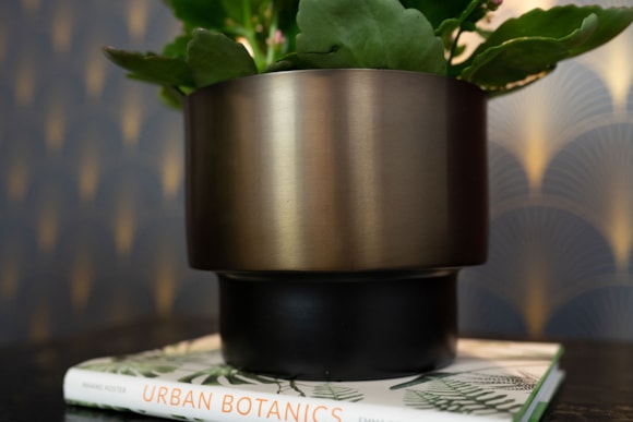 1_Myra-donkerbruin_03