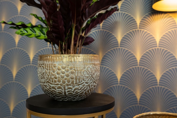 1_Senna-antique-brass_03