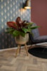 Sada 3 obalů na nožkách Carly brass D44 H88