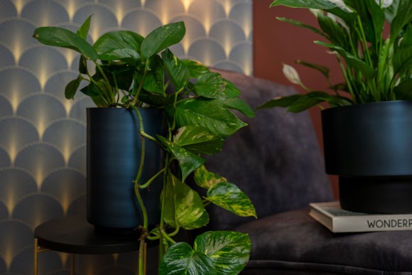 2_Myra-donkerblauw_04_1