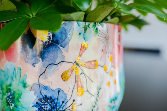 3_Lammie_Sparkle_26_1