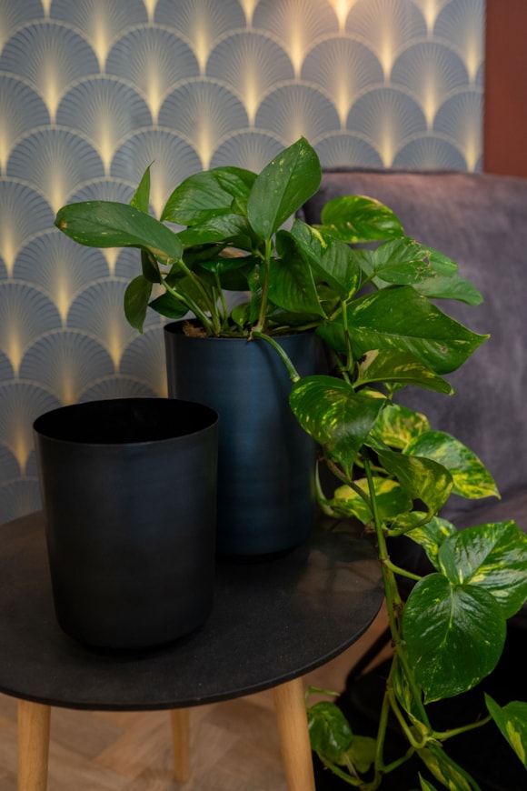 4_Myra-donkerblauw_08_1