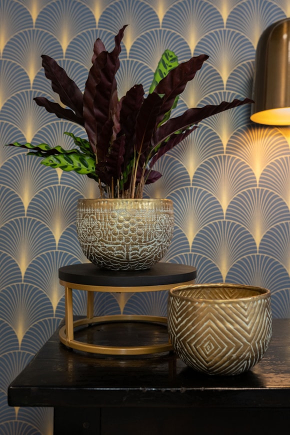 4_Senna-antique-brass_02