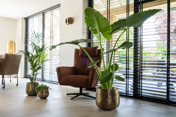 6_Calvin_matt_gold_06_1