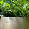 Sada 5 obalů Rowen gold D60 H62