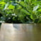 Sada 5 obalů Rowen gold D60 H62