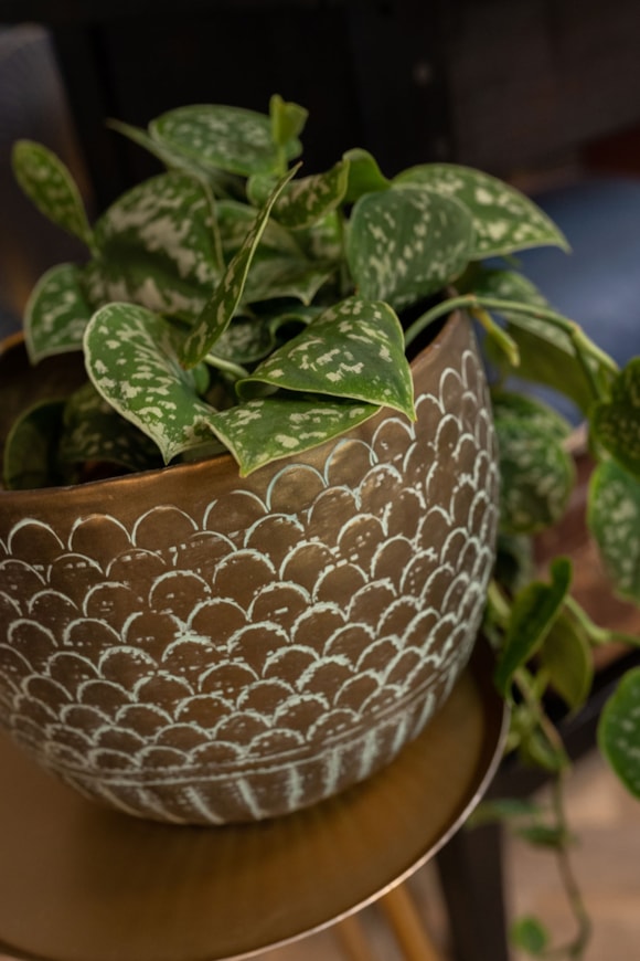 7_Senna-antique-brass_06
