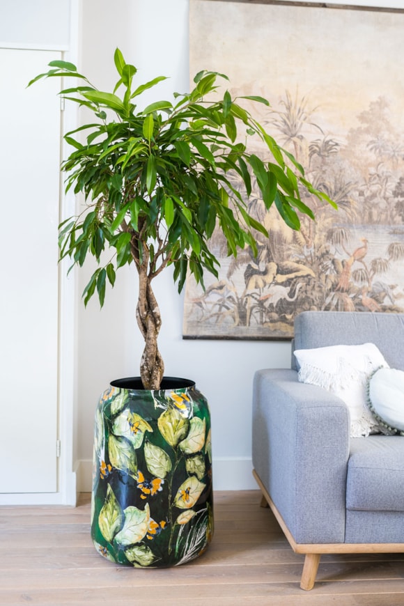 1_Lammie_Bee_green_01_1