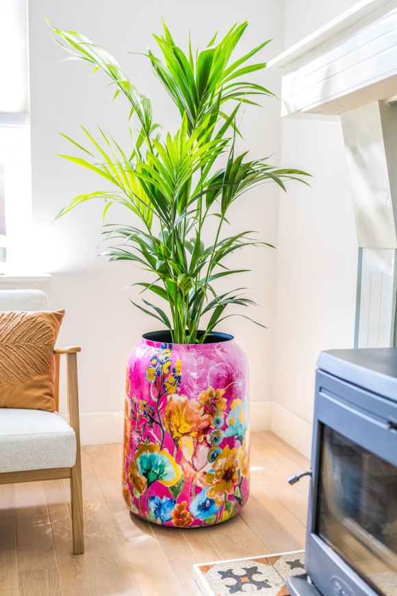 6_Lammie_Fiesta_30_1