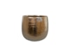 Obal Yvette gold D24 H21