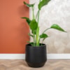 Obal Norell black D32 H30