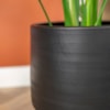 Obal Norell black D32 H30