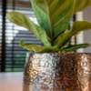 Obal Yvette gold D19 H16