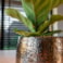 Obal Yvette gold D19 H16