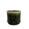 Obal Nolan pine D17 H15