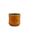 Obal Nolan caramel D7 H7