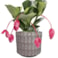 Obal Stian deep purple D21 H20