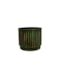 Obal Nella forest D14 H12