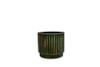 Obal Nella forest D14 H12