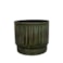 Obal Nella forest D21 H19