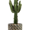 Obal Jim earth D21 H19