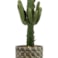 Obal Jim earth D21 H19