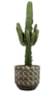 Obal Jim earth D21 H19