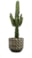 Obal Jim earth D21 H19