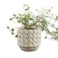 Obal Jim white earth D11 H11