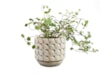 Obal Jim white earth D11 H11