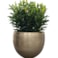 Sada 5 obalů Rowen new green D38 H30