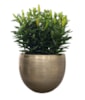 Sada 5 obalů Rowen new green D38 H30