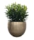 Sada 5 obalů Rowen new green D38 H30