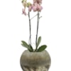 Váza Benthe pearl glow D20 H15