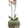 Váza Benthe pearl glow D20 H15