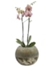 Váza  Benthe pearl glow D20 H15