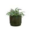 Obal Nella forest D14 H12
