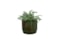 Obal Nella forest D14 H12