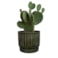 Obal Nella forest D21 H19