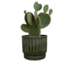 Obal Nella forest D21 H19