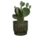 Obal Nella forest D21 H19