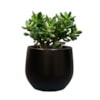 Obal Isabel black D18 H16