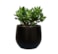 Obal Isabel black D18 H16