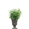 Váza Louvre concrete grey D41 H54
