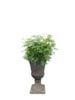 Váza Louvre concrete grey D41 H54