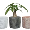 Balení obalů Lize D58x74 H104, 3 barvy