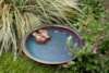 Ptačí pítko-mísa Hylke modrá D28 H5