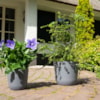 Květináč Palermo grey D27 H25
